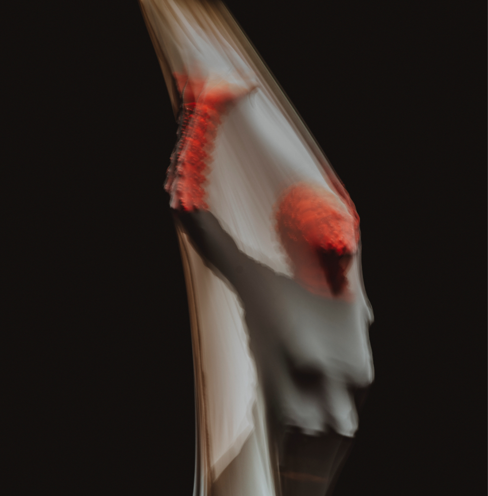 img4